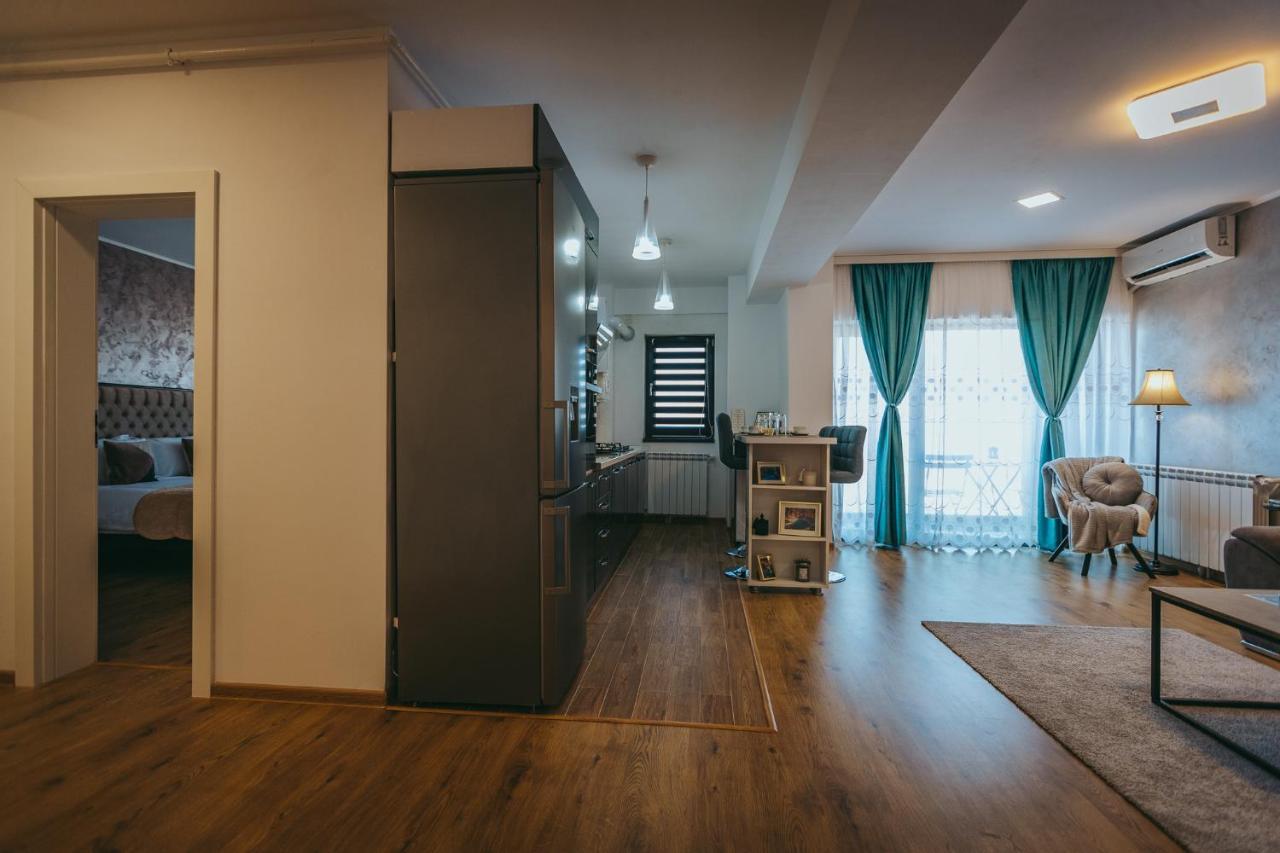 툴체아 View Apartament 아파트 외부 사진